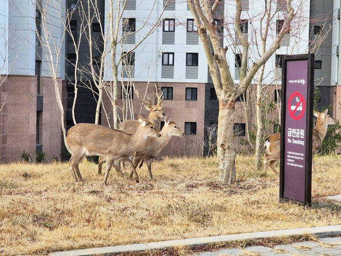 좋은 일을 해서 축복 받은 듯한 도시.jpg | 인스티즈