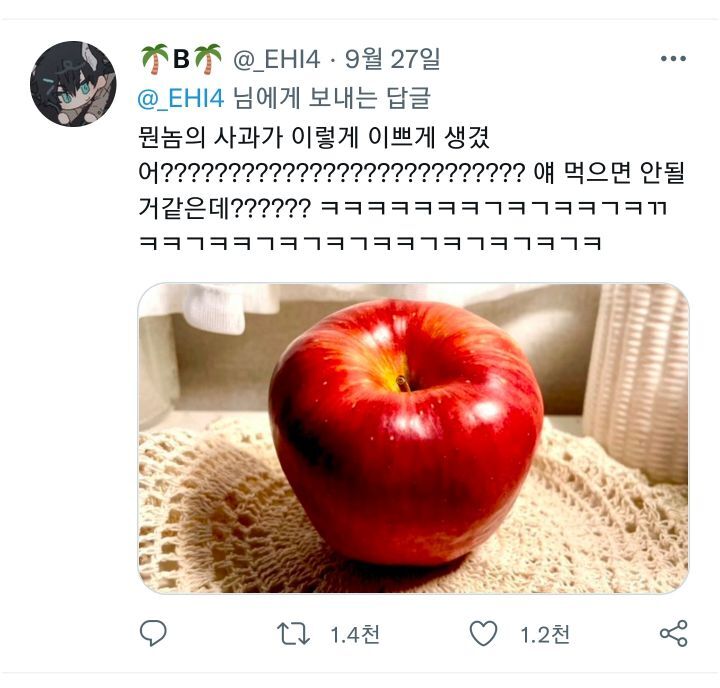 당근마켓 하고 받은 사과가 너무 이쁨.twt | 인스티즈