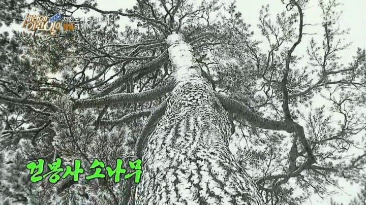 세상에 이런일이 73세 펜화그리는 할아버지 | 인스티즈