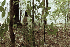 [그리스로마신화] 물병자리의 비밀. 암컷이든 수컷이든 그저 맛만 좋으면 되는거 아니겠습니까. 그게 몇백살 연하라도 | 인스티즈