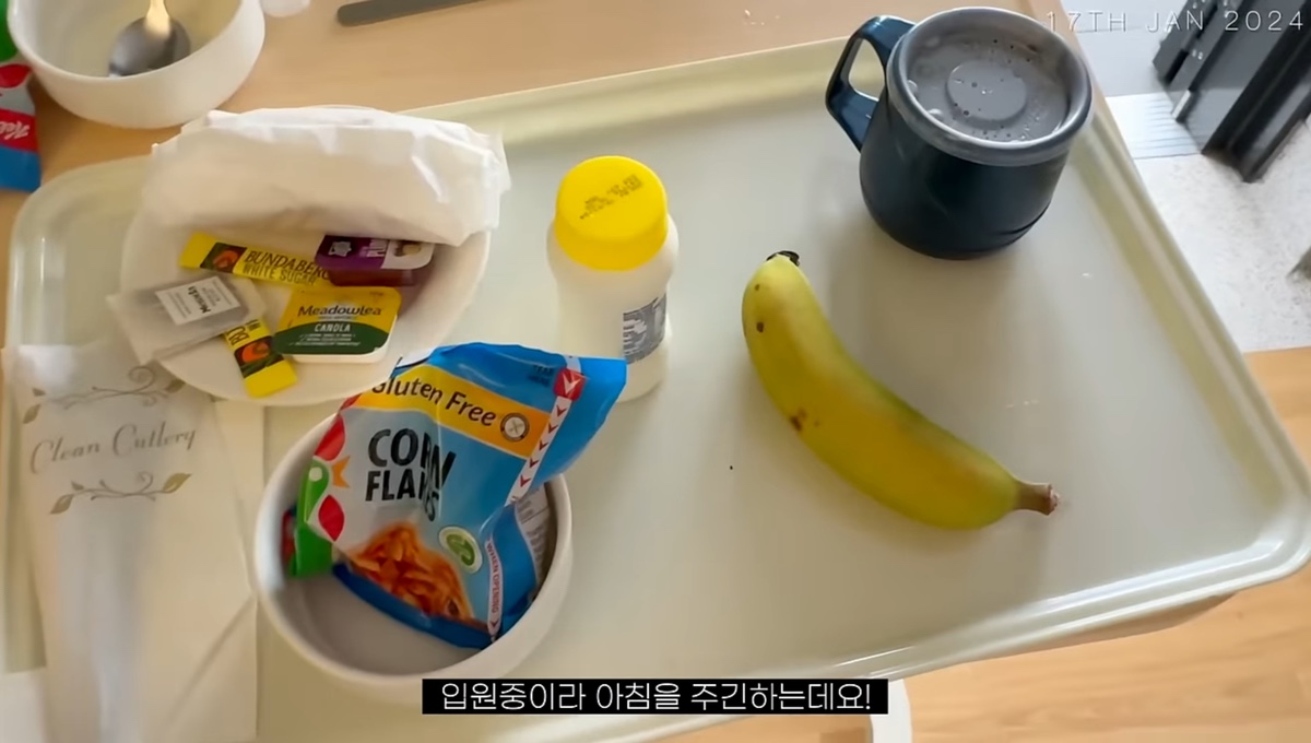 일부 한국인들이 해쭈 출산in호주 브이로그 보고 문화차이에 놀란 이유 | 인스티즈