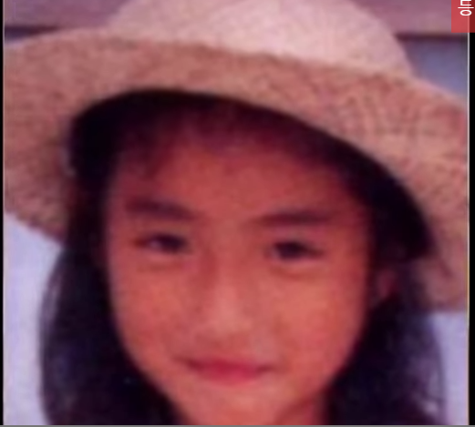 이시하라 사토미 변화과정.jpg | 인스티즈