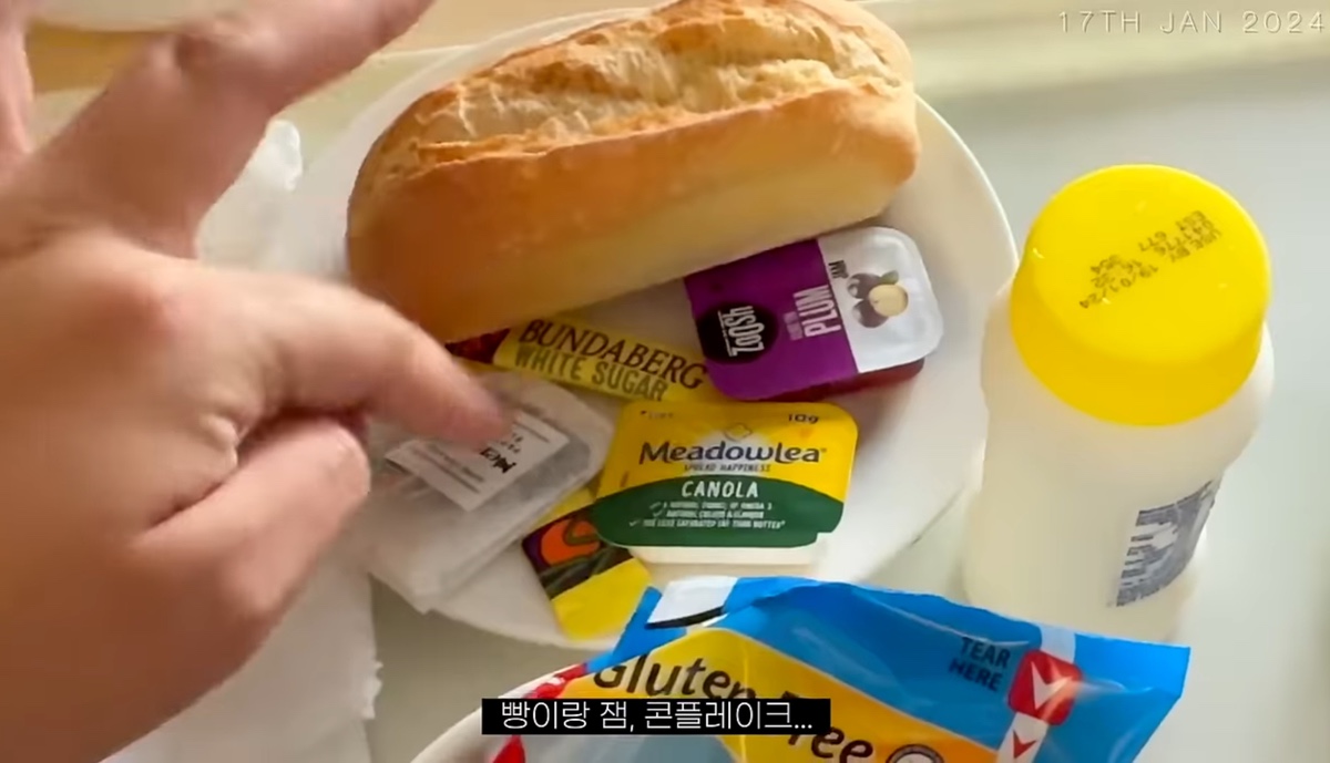 일부 한국인들이 해쭈 출산in호주 브이로그 보고 문화차이에 놀란 이유 | 인스티즈