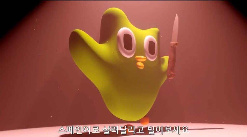 한국 듀오링고 사용자들 댐 부엉이옴 .twt | 인스티즈