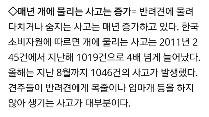 반려견에게 목줄 및 입마개 안하는 견주들 신고하자!! | 인스티즈