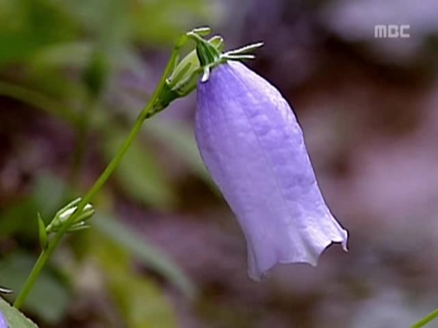 [거침없이하이킥] 봄바람 난 문희 | 인스티즈