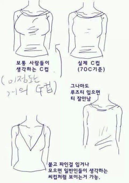 여자들이 말한 C컵 | 인스티즈