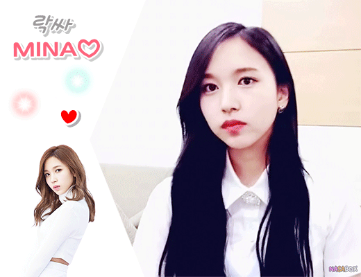 모모+고양이 | 인스티즈