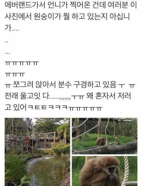아무말 대잔치 모음 8탄! | 인스티즈