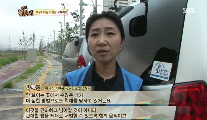 [TV동물농장] 동물농장에서 방송된 인천의 한 개 도축장의 현실.jpg | 인스티즈