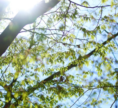 아이돌이 작사한 인상깊은 가사들 | 인스티즈