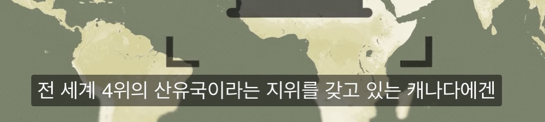 캐나다가 자국 석유의 81%를 미국에 줄수밖에 없는 이유 | 인스티즈