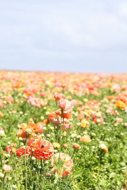 가장 좋아하는 계절은? | 인스티즈