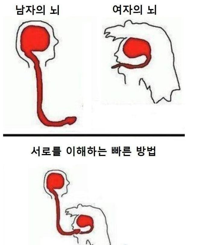 강도의 성기를 빨아준 체코 여성 | 인스티즈