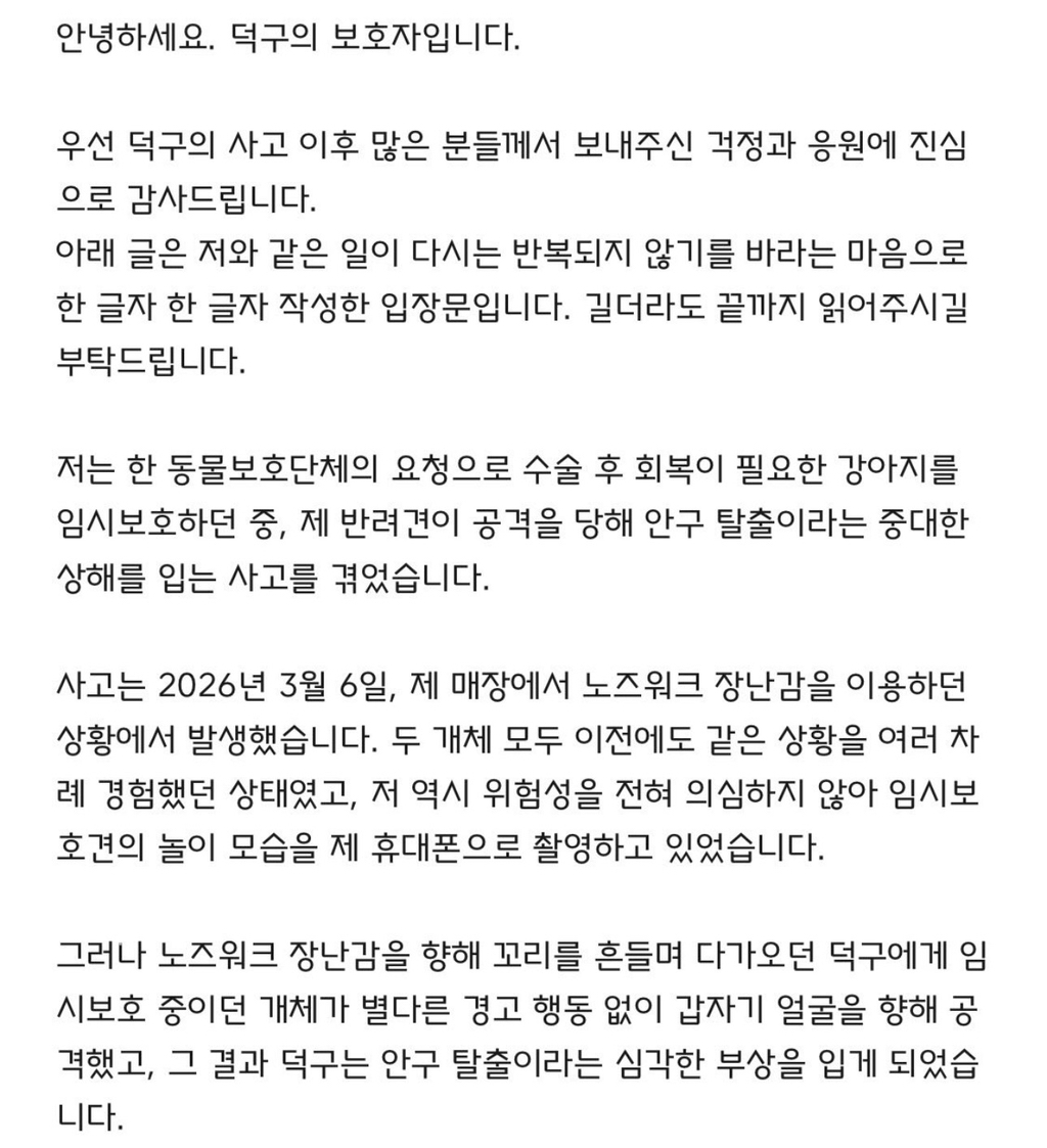 임보견에게 물려 안구탈출, 단체는 책임회피(사진 주의) | 인스티즈