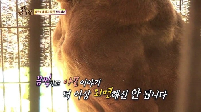 [TV동물농장] 동물농장에서 방송된 인천의 한 개 도축장의 현실.jpg | 인스티즈