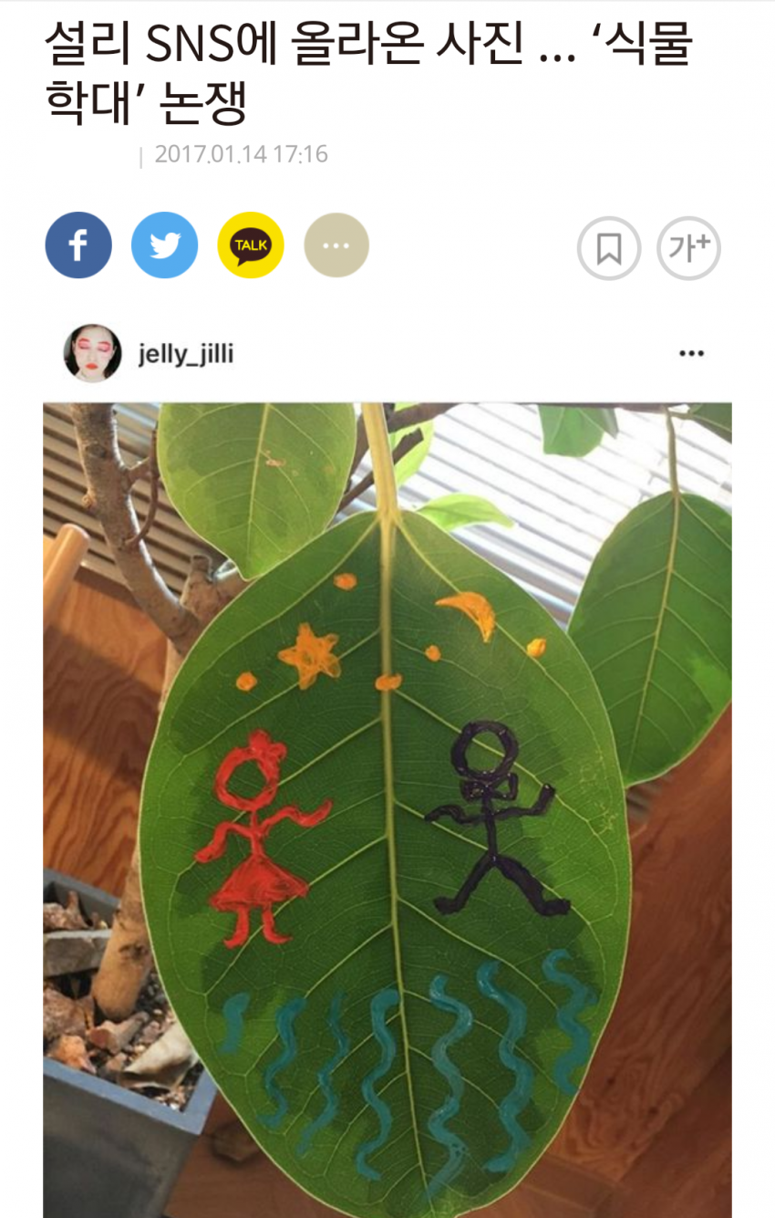 설리 식물 학대 펨코 반응 | 인스티즈