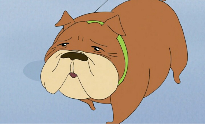 살찐 흰둥이의 다이어트 | 인스티즈