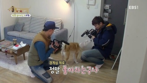 [세상에나쁜개는없다] 애견훈련소 갔다가 얼굴을 잃어버린 마루 (감동이쟈나ㅠㅠ) | 인스티즈