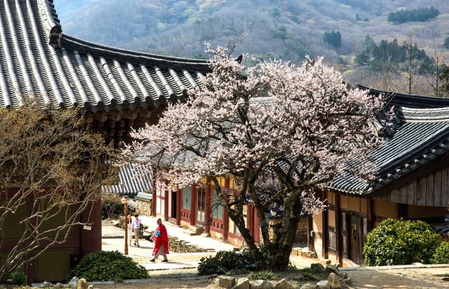 국내도시 중 '여긴 진짜 여행가기 좋다' 생각하는 사람이 많다는 도시.jpg | 인스티즈