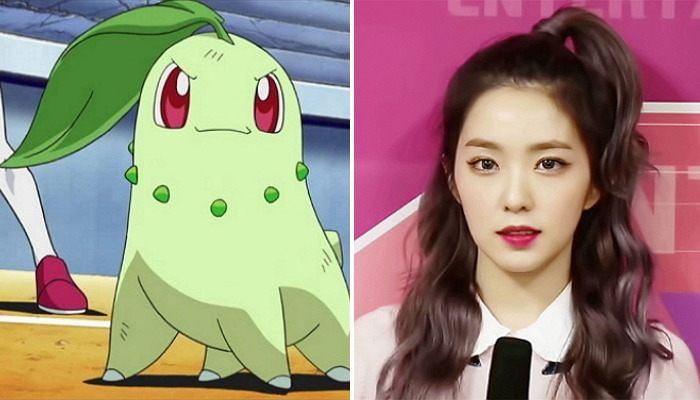 포켓몬 닮은 연예인 14명 | 인스티즈