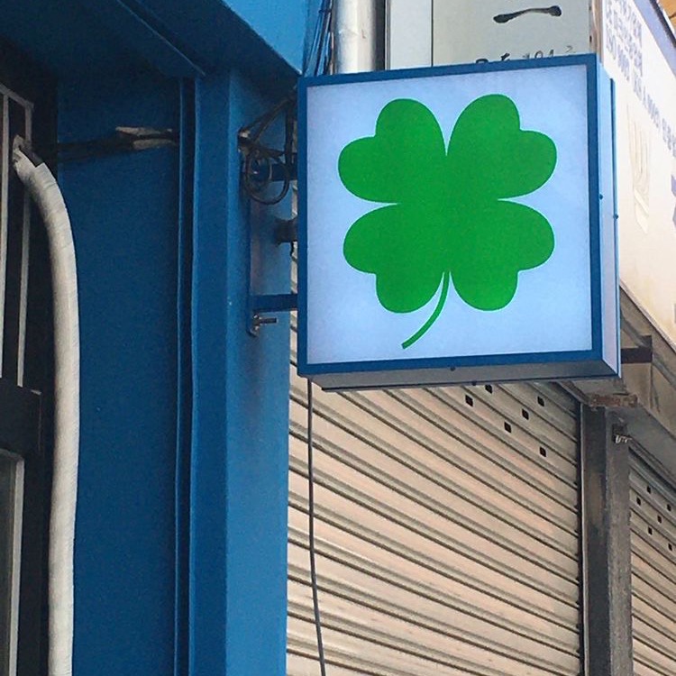 행운 무료 나눔 ➿ 🍀 (행복은 덤 . . ☘️) | 인스티즈