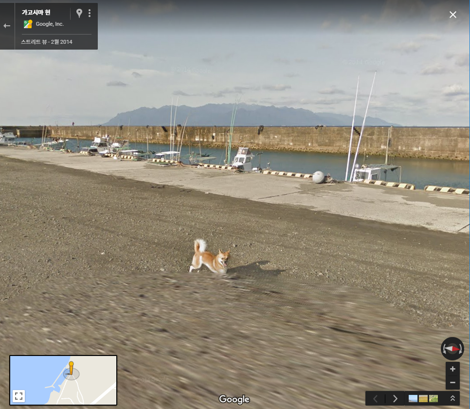 구글맵 스트리트뷰에 찍힌 댕댕이 | 인스티즈