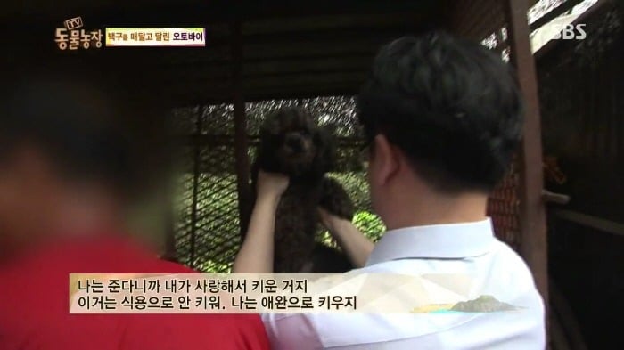 [TV동물농장] 동물농장에서 방송된 인천의 한 개 도축장의 현실.jpg | 인스티즈