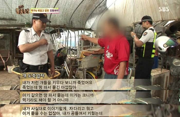 [TV동물농장] 동물농장에서 방송된 인천의 한 개 도축장의 현실.jpg | 인스티즈