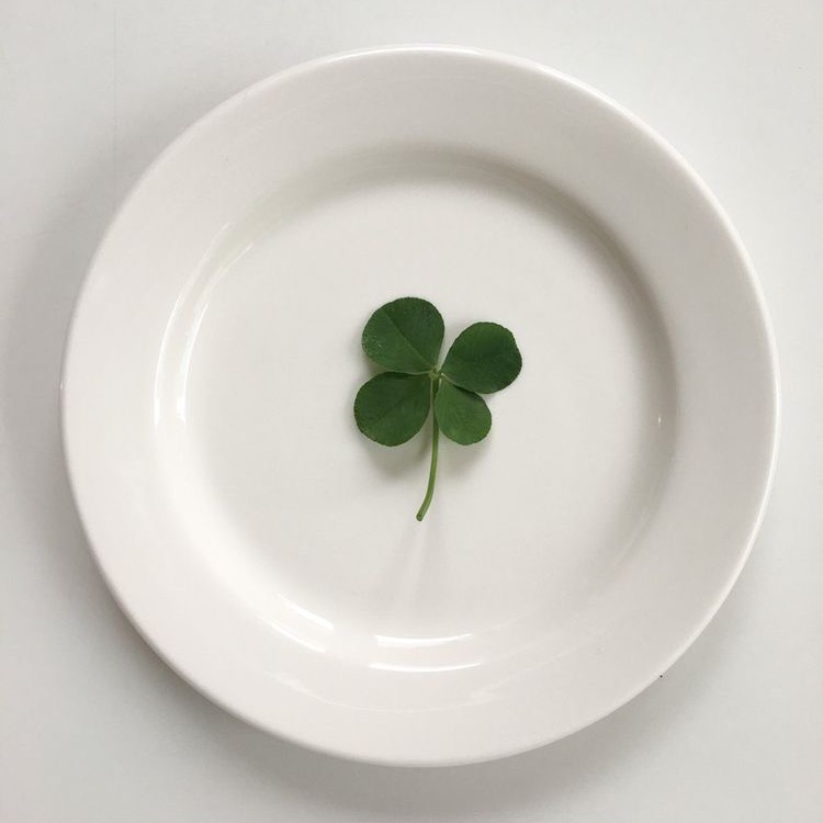 행운 무료 나눔 ➿ 🍀 (행복은 덤 . . ☘️) | 인스티즈