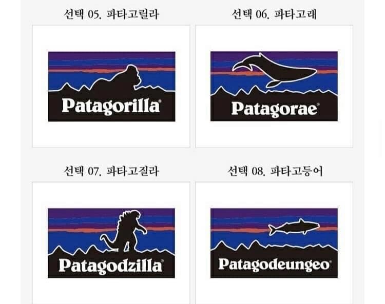파타고니아 사장님이 보면 빡칠만한 가짜 ㅋㅋㅋ.jpg | 인스티즈