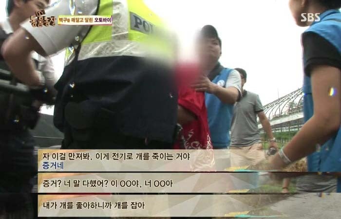 [TV동물농장] 동물농장에서 방송된 인천의 한 개 도축장의 현실.jpg | 인스티즈