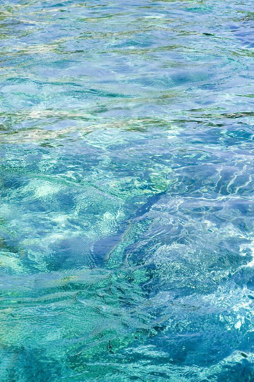 가장 좋아하는 계절은? | 인스티즈