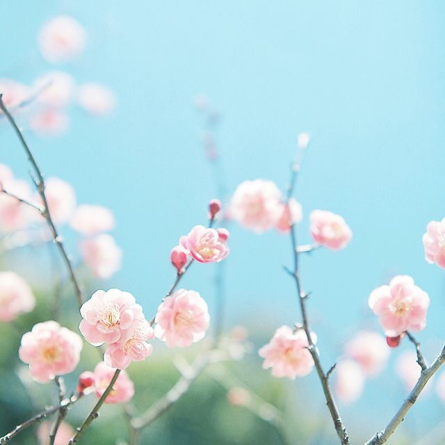 가장 좋아하는 계절은? | 인스티즈