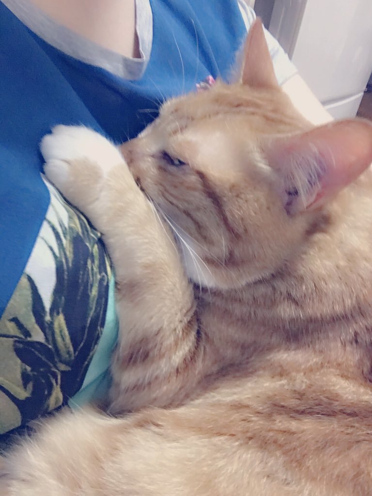 사쿠야 유아 | 인스티즈