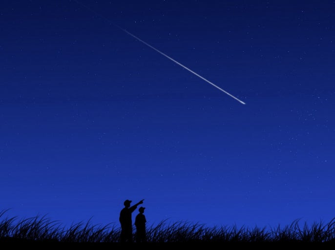 나는 이거 "실제로” 본 적 있다vs없다 | 인스티즈