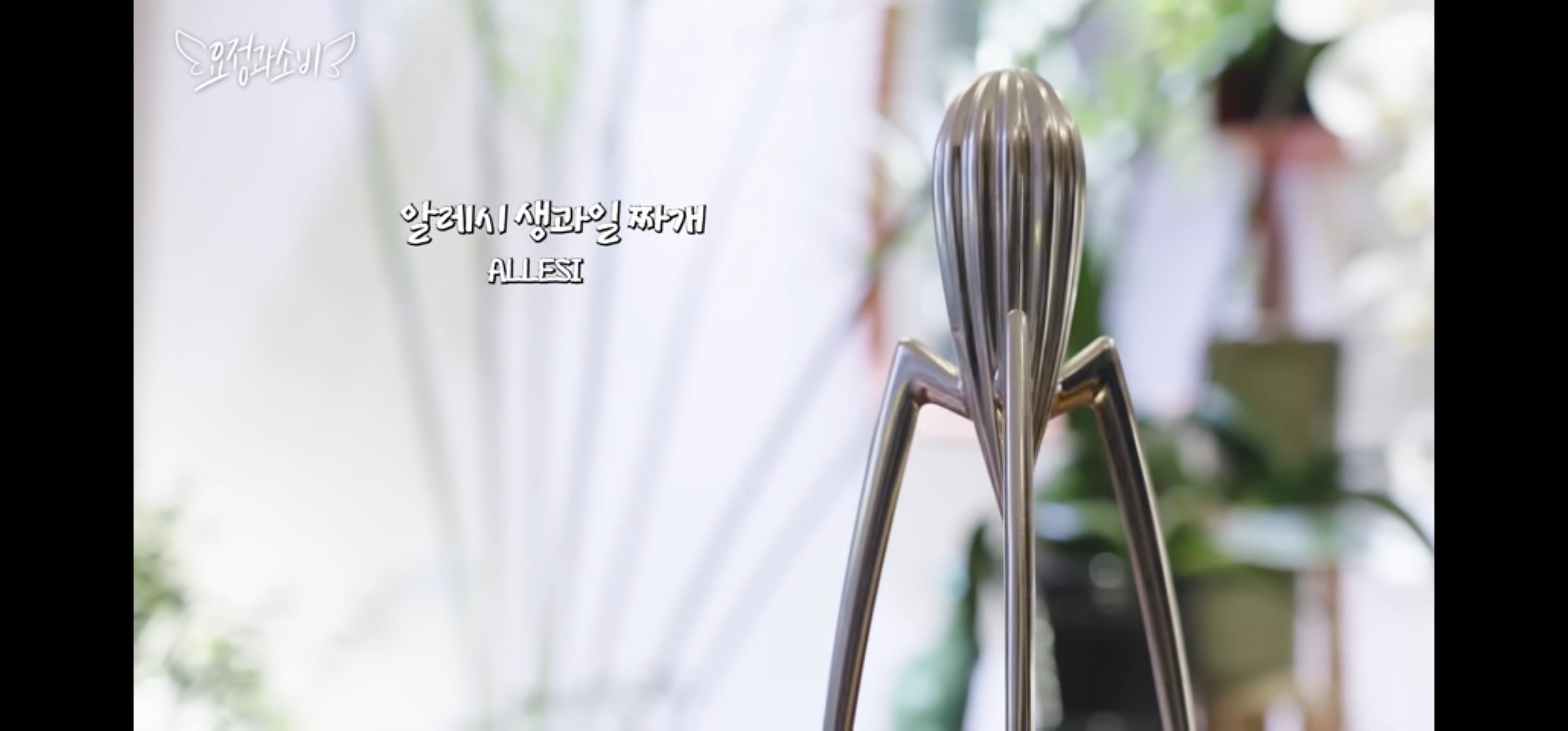 요정식탁 정재형이 쓰는 부엌템 (올리브유, 소금, 식초, 토마토홀캔, 조리도구, 냄비 등) | 인스티즈