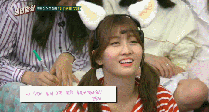 모모+고양이 | 인스티즈