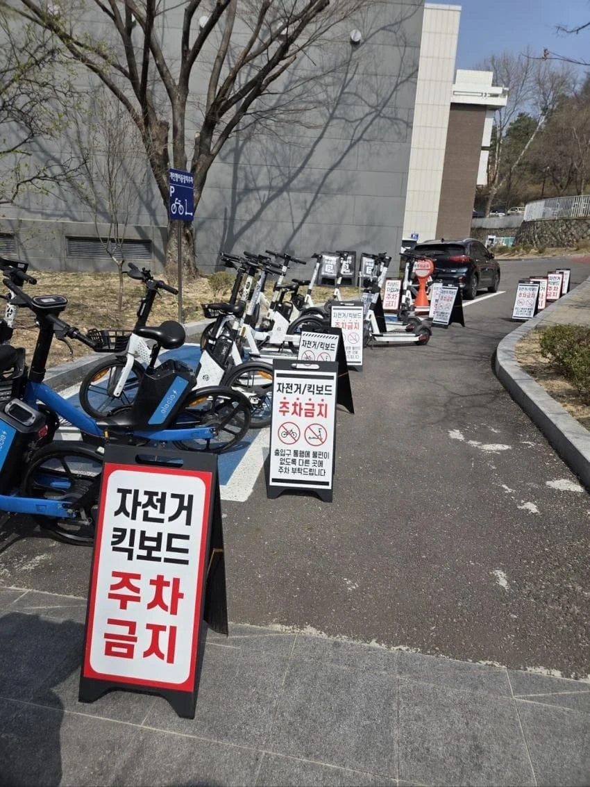 사회실험 중인건가 싶은 사진 한장 | 인스티즈