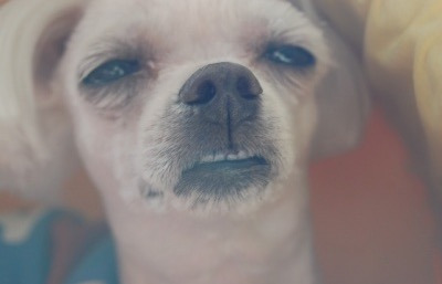 💥💥공공기관 성과급 파티 🙅🏻‍♀️🙅🏻‍♀️ | 인스티즈