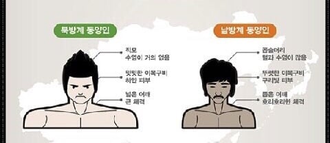 한국인 생김새로 보는 북방계형 남방계형 | 인스티즈