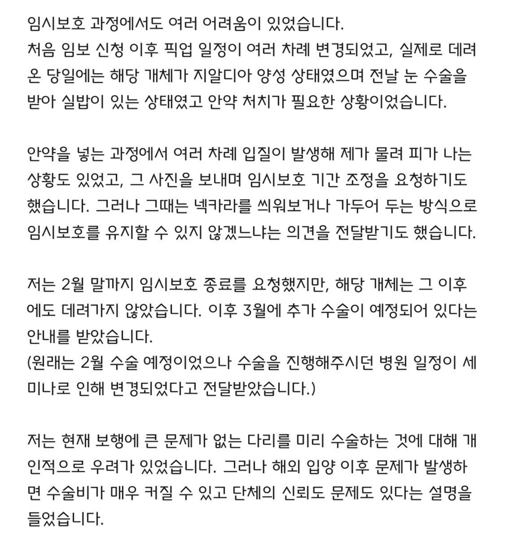 임보견에게 물려 안구탈출, 단체는 책임회피(사진 주의) | 인스티즈