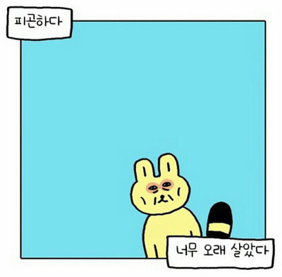 내 기분이 얼마나 족같은지 표현하기 좋은 짤들 | 인스티즈