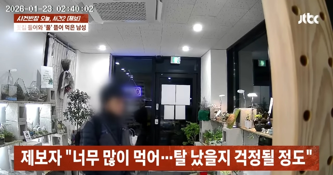 무인 꽃집에 있는 식물들을 죄다 먹어버린 남성 | 인스티즈