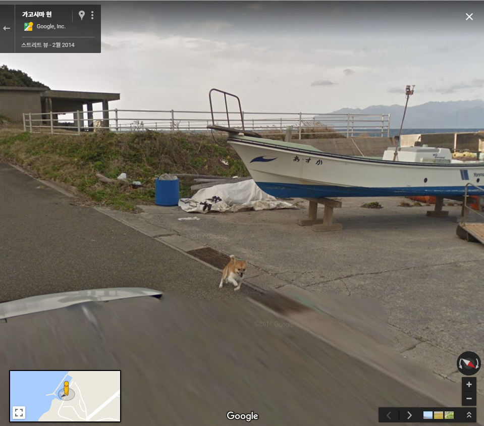 구글맵 스트리트뷰에 찍힌 댕댕이 | 인스티즈