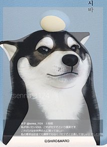 남의 강아지 사진을 멋대로 가져다 쓴 한국 휴대폰 케이스 회사에 견주가 저격글을 올렸음 | 인스티즈