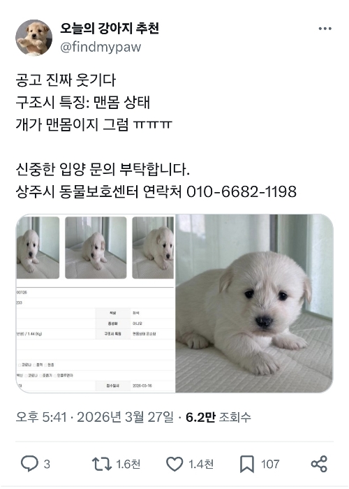 현재 논란중인 강아지 구조 상태 ......jpg | 인스티즈