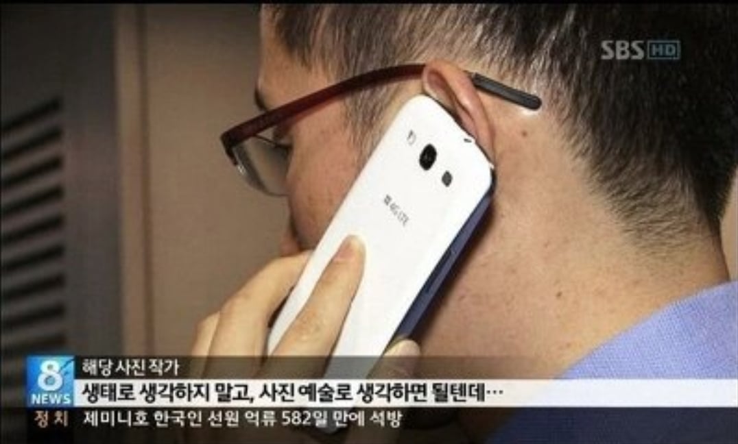 새 괴롭혀서 사진찍는 사진작가 | 인스티즈