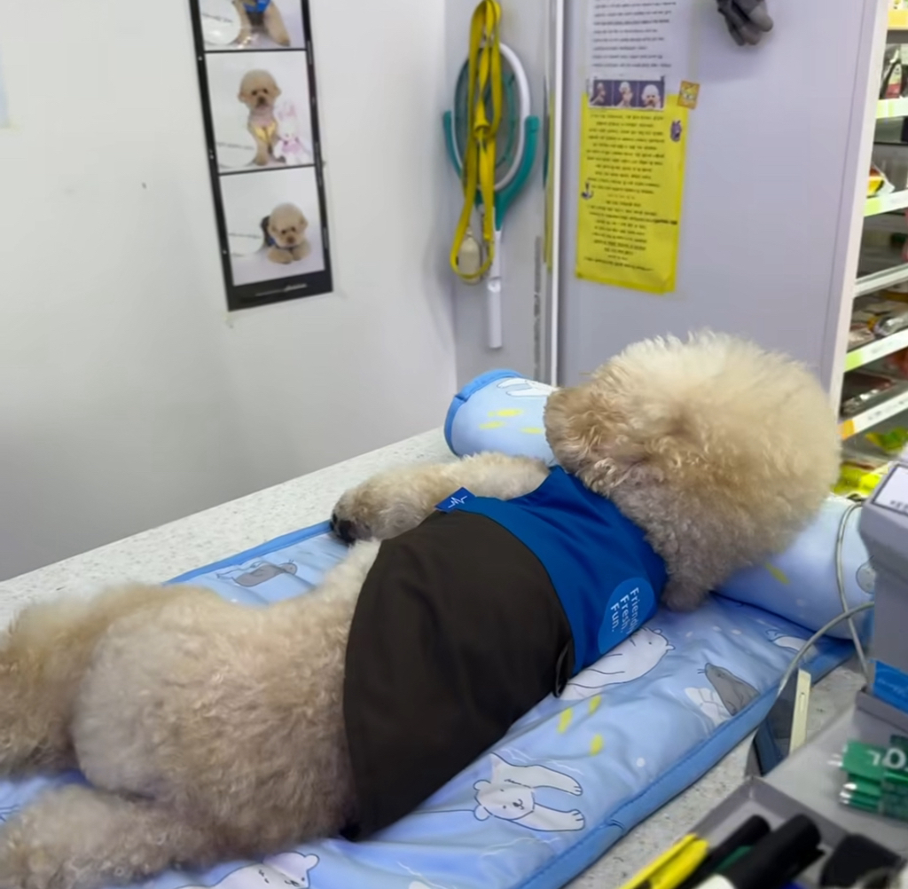 실시간 난리난 편의점에서 이불깔고 베개베고 누워있는 점장 | 인스티즈