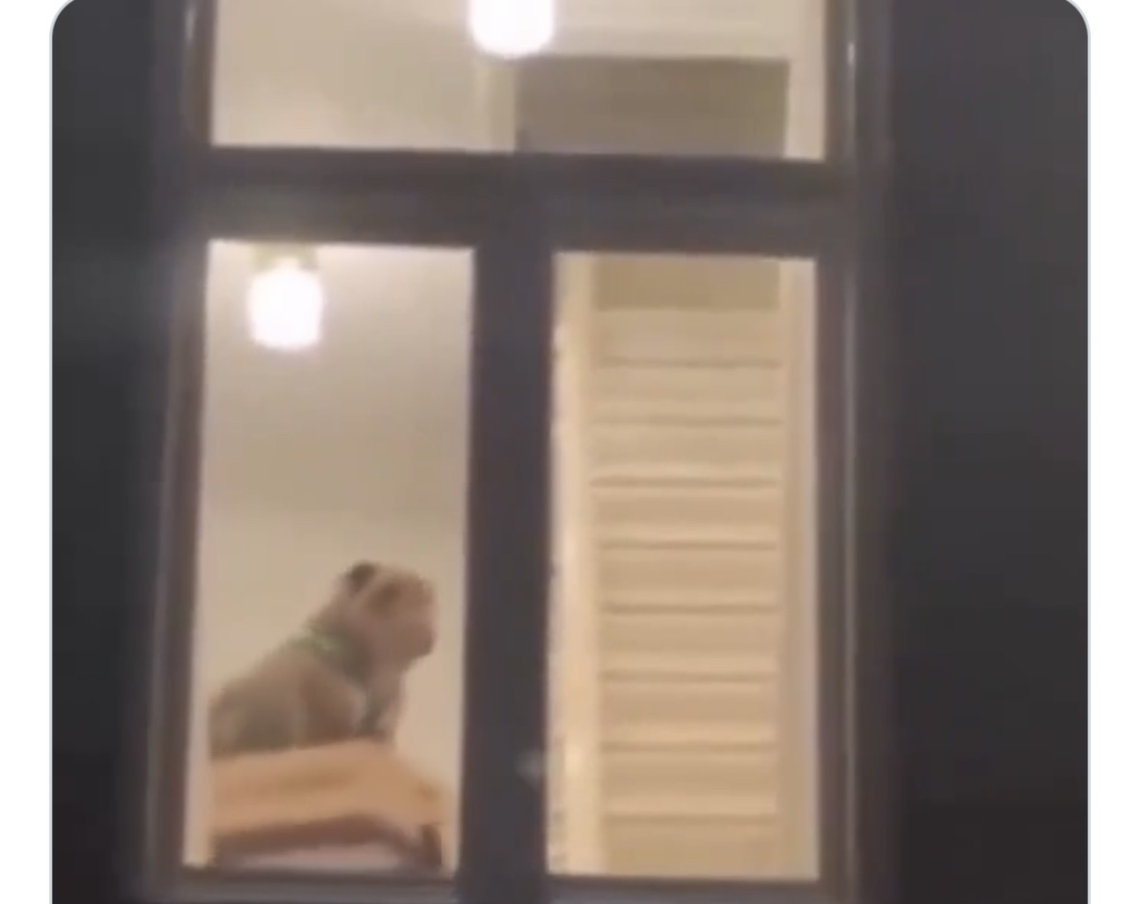 밤마다 이웃집 훔쳐보는 이유 | 인스티즈